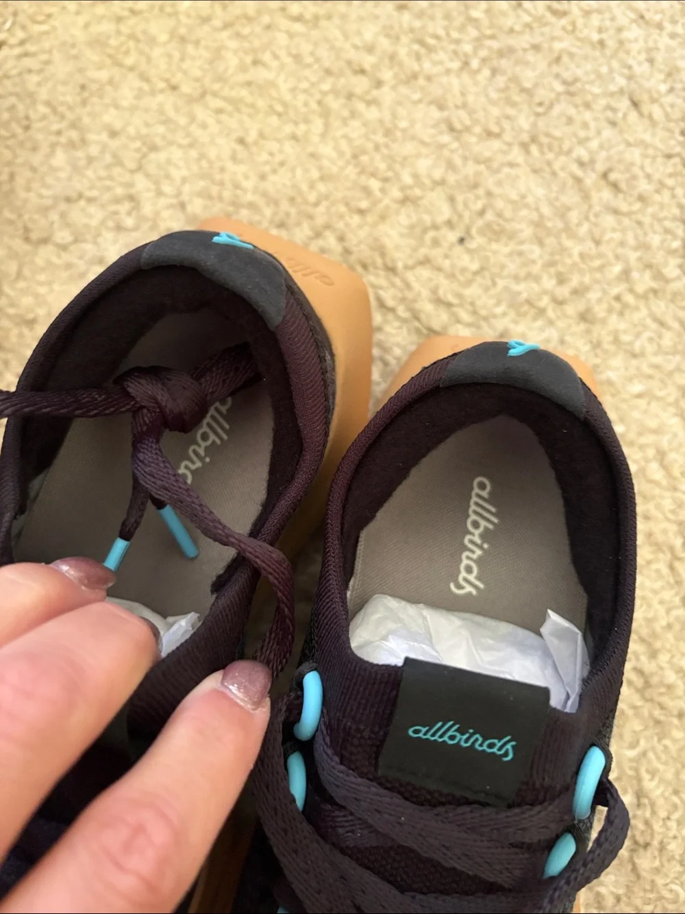 allbirds Women's dasher Black Knit Sneakers with Turquoise Accents and Gum Sole